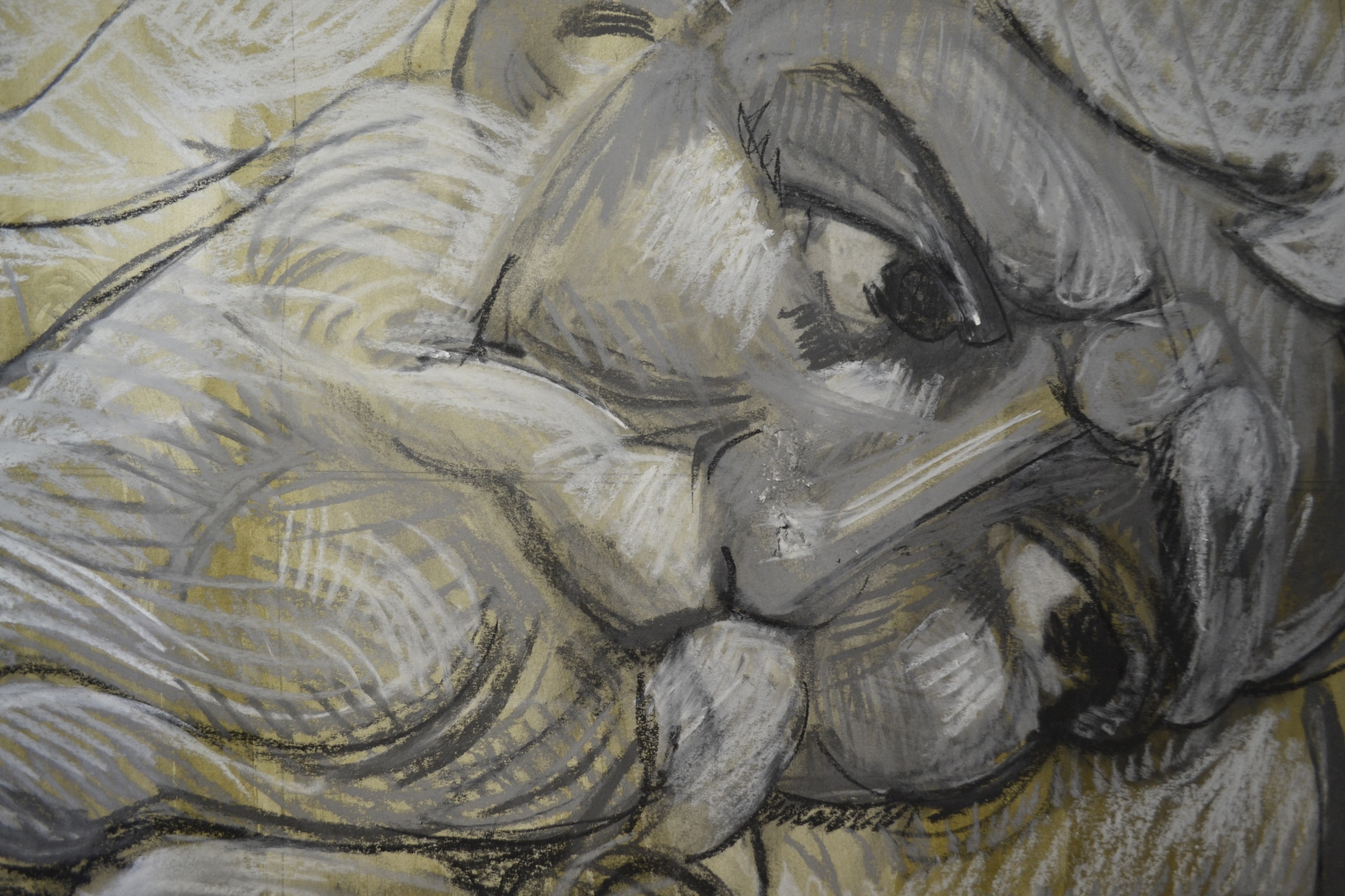 dsc_0240-sm_24355491366_o